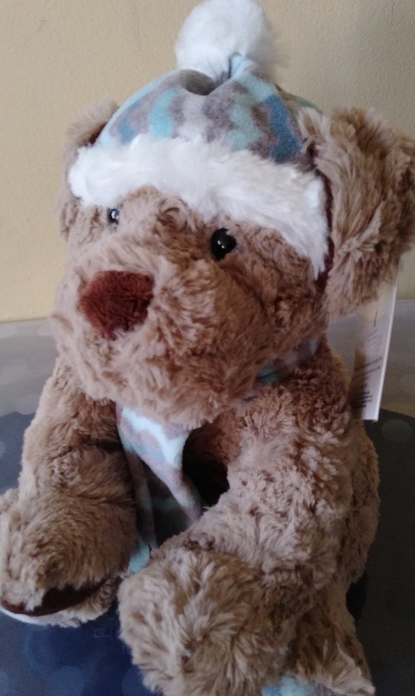 St. Jude's Joel Teddy Bear